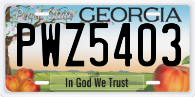 GA license plate PWZ5403