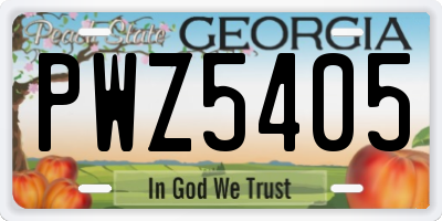 GA license plate PWZ5405
