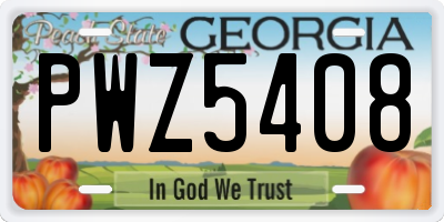 GA license plate PWZ5408