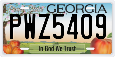 GA license plate PWZ5409