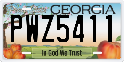 GA license plate PWZ5411