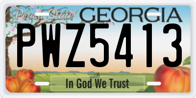 GA license plate PWZ5413