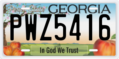 GA license plate PWZ5416