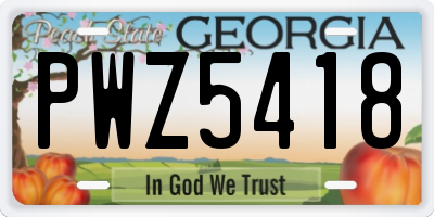GA license plate PWZ5418