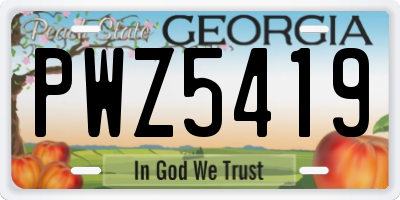 GA license plate PWZ5419