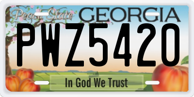 GA license plate PWZ5420