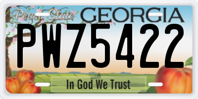 GA license plate PWZ5422