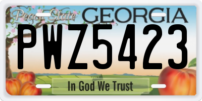 GA license plate PWZ5423