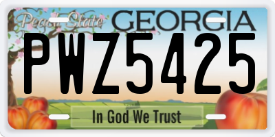 GA license plate PWZ5425