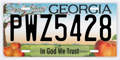 GA license plate PWZ5428