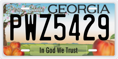 GA license plate PWZ5429