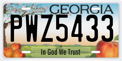 GA license plate PWZ5433
