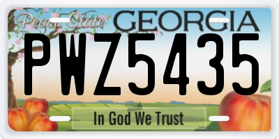 GA license plate PWZ5435