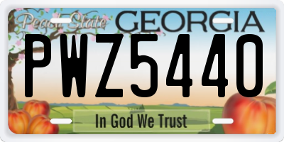 GA license plate PWZ5440