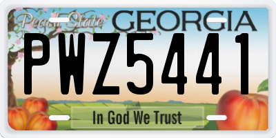 GA license plate PWZ5441