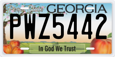 GA license plate PWZ5442