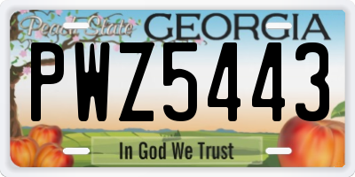 GA license plate PWZ5443