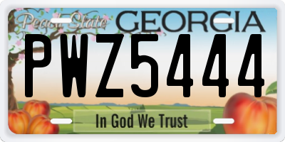 GA license plate PWZ5444