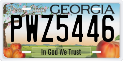 GA license plate PWZ5446