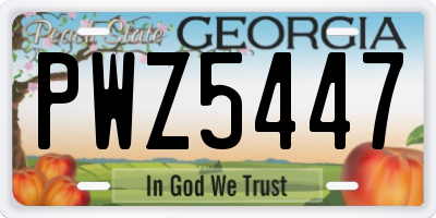 GA license plate PWZ5447