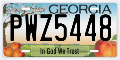 GA license plate PWZ5448