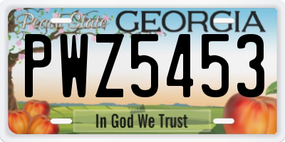 GA license plate PWZ5453