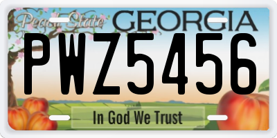 GA license plate PWZ5456