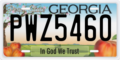 GA license plate PWZ5460