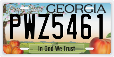 GA license plate PWZ5461