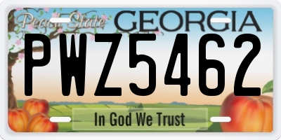 GA license plate PWZ5462