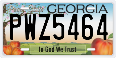 GA license plate PWZ5464