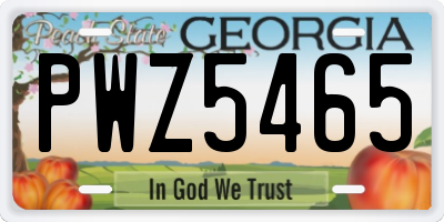 GA license plate PWZ5465