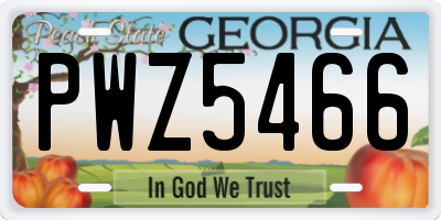 GA license plate PWZ5466