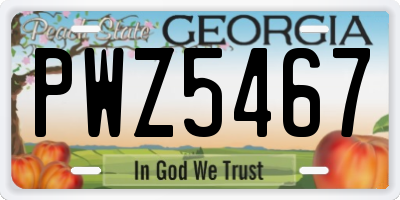 GA license plate PWZ5467