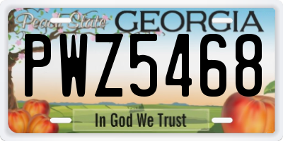 GA license plate PWZ5468