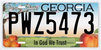 GA license plate PWZ5473