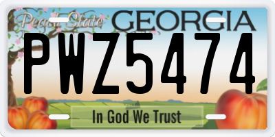 GA license plate PWZ5474