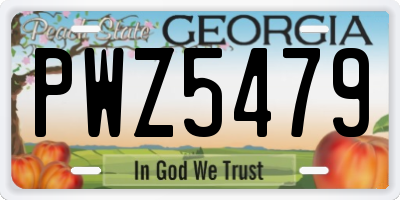 GA license plate PWZ5479