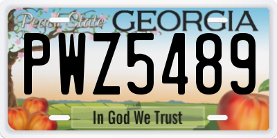 GA license plate PWZ5489