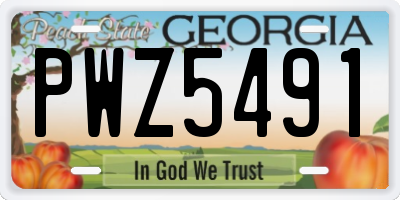 GA license plate PWZ5491