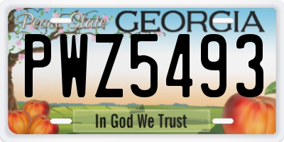 GA license plate PWZ5493