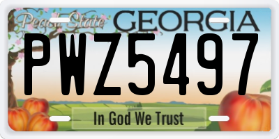 GA license plate PWZ5497
