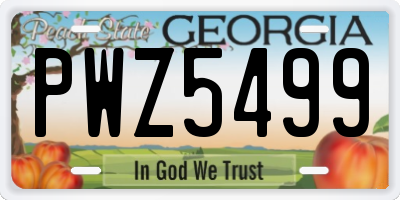 GA license plate PWZ5499