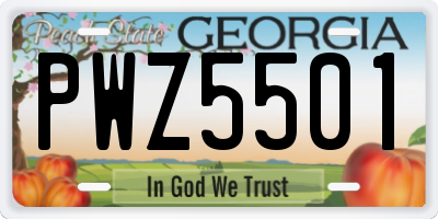 GA license plate PWZ5501