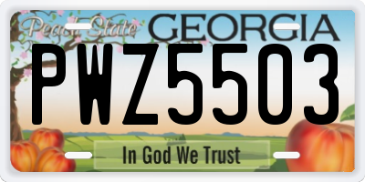 GA license plate PWZ5503