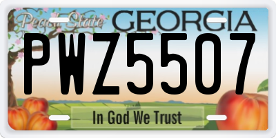 GA license plate PWZ5507
