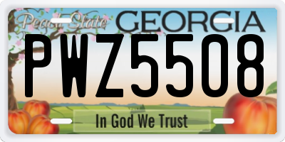 GA license plate PWZ5508