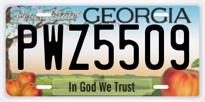 GA license plate PWZ5509
