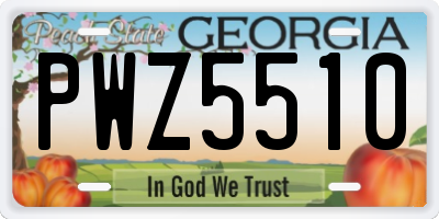 GA license plate PWZ5510