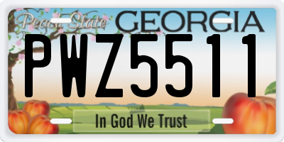 GA license plate PWZ5511